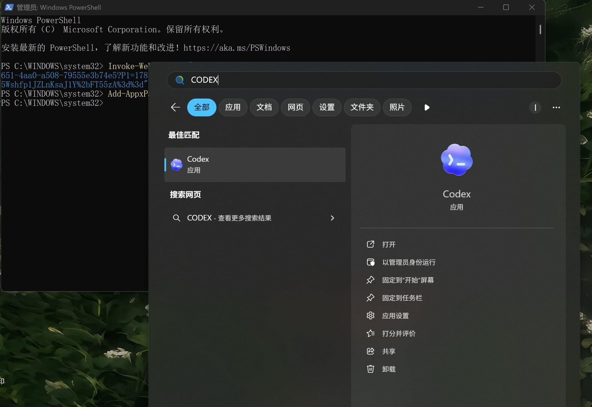 windows不能安装codex 解决方案（简单输入代码两行代码就能搞定） - 开发调优 - LINUX DO