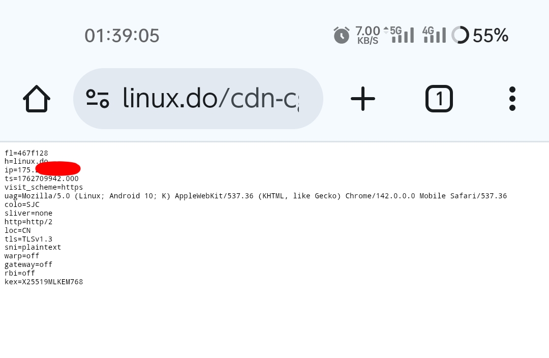 搞搞DNS，发现：移除了ech的doh服务器似乎也可访问被封的cf网站（如L站）！ - 开发调优 - LINUX DO