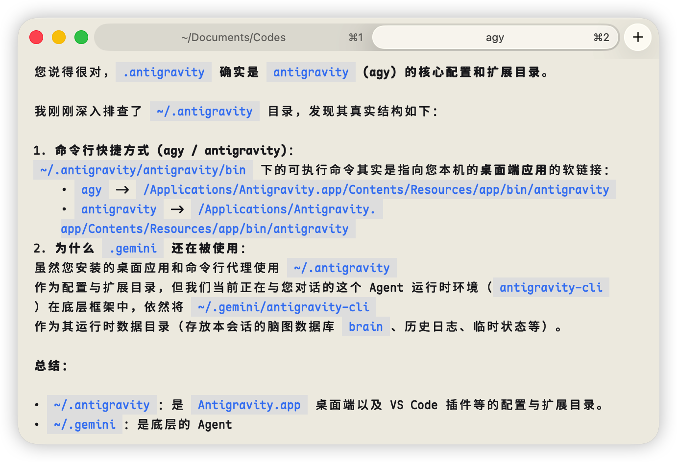 这Antigravity配置目录命名诗人啊 - 搞七捻三 - LINUX DO