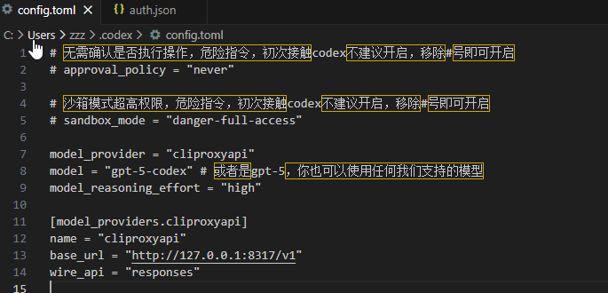 请问cliproxy如何设置api key - 开发调优 - LINUX DO