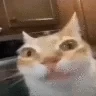 2BB3BA050E00C0A709944E1A07E61177