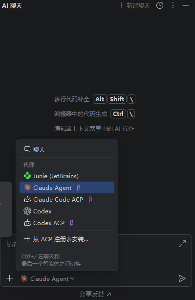 idea 中的 codex 如何加载 skills - 开发调优 - LINUX DO