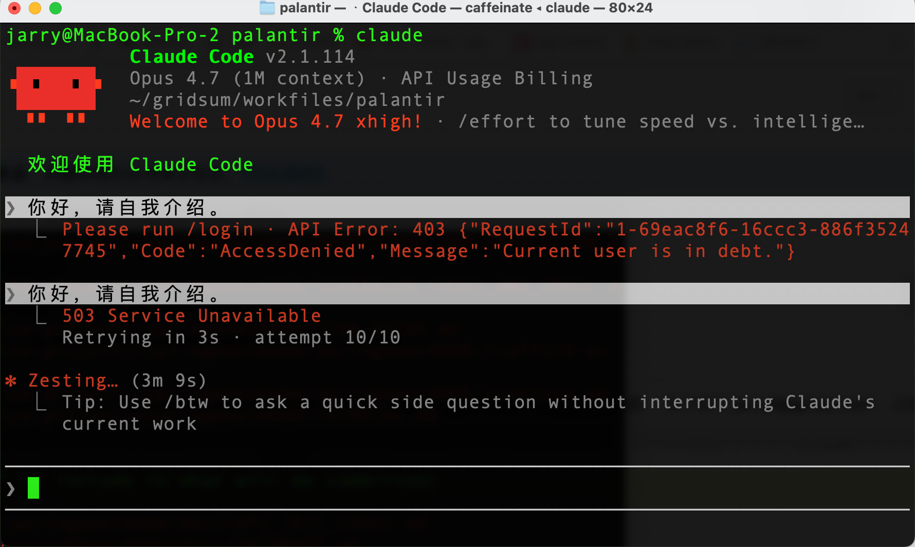 调用claudecode报错，这是没钱了吗？Current user is in debt. - 搞七捻三 - LINUX DO
