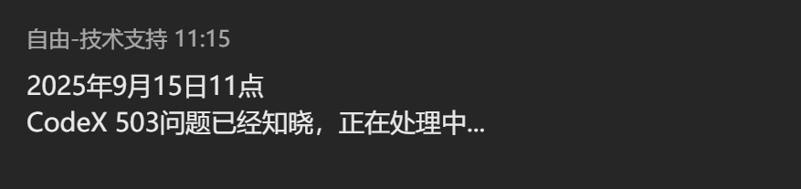 packycode codex月付一直503 - 开发调优 - LINUX DO