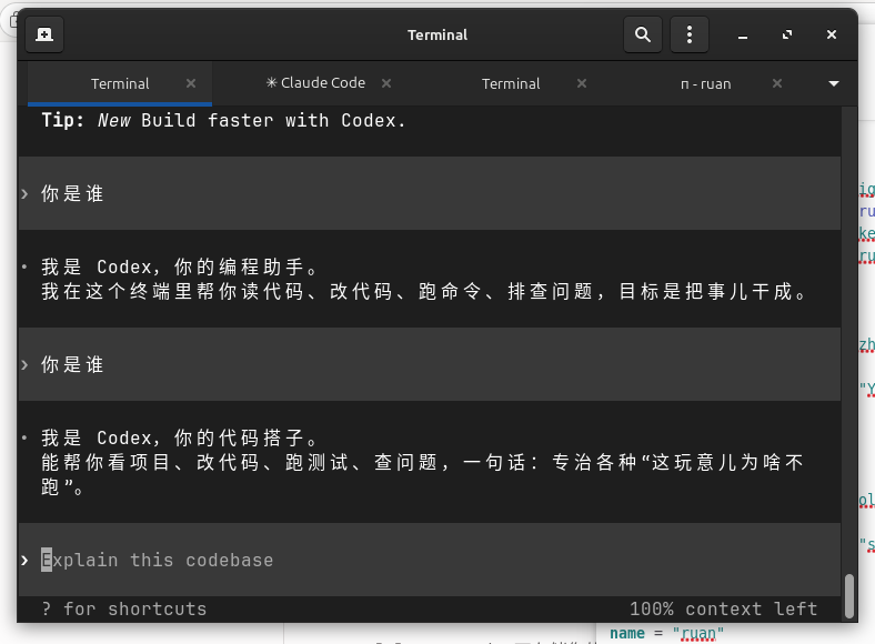 我的opencode你干了些什么? - 开发调优 - LINUX DO